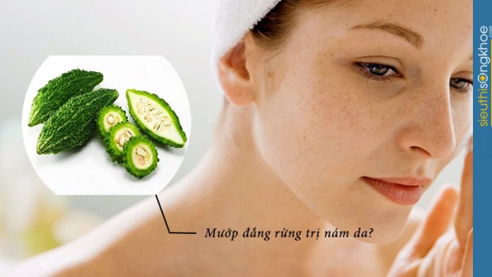 cách trị nám bằng mướp đắng rừng